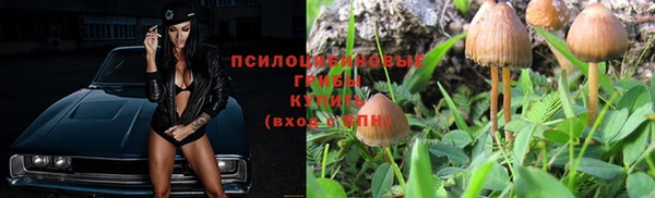 ГАЛЛЮЦИНОГЕННЫЕ ГРИБЫ Абаза