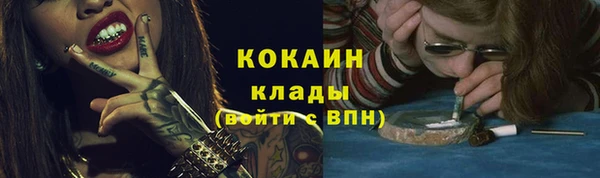 ГАЛЛЮЦИНОГЕННЫЕ ГРИБЫ Абаза