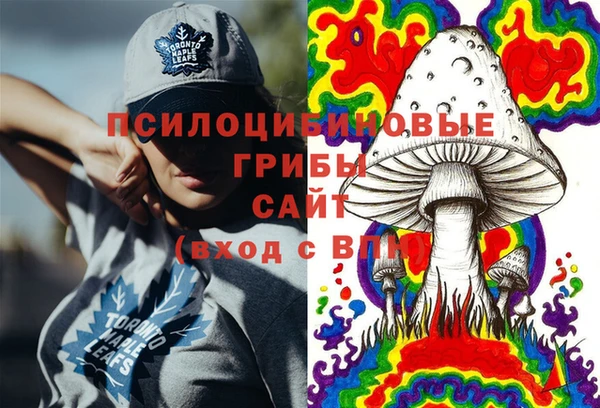 spice Алексин