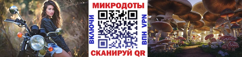 цена наркотик  blacksprut вход  Псилоцибиновые грибы Magic Shrooms  Кочубеевское 